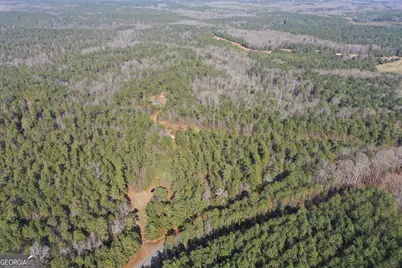 0 John Rucker Road, Elberton, GA 30635 - Photo 1