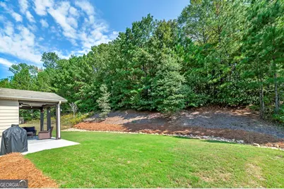 91 Pacific Avenue, Sharpsburg, GA 30277 - Photo 10