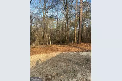 59 Doe Walk Road, Eastman, GA 31023 - Photo 12