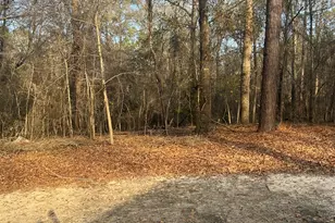 59 Doe Walk Rd, Eastman, GA 31023 - Photo 12