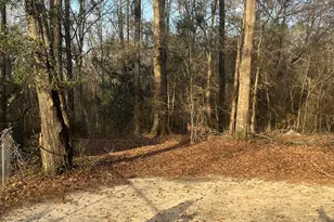 59 Doe Walk Rd, Eastman, GA 31023 - Photo 26