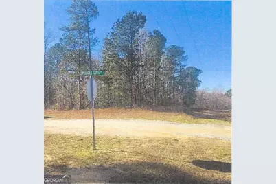 (Eastern 1/2 Of Thomson Hwy, Warrenton, GA 30828 - Photo 4