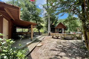 837 Linger Long Rd, Sylvania, GA 30467 - Photo 24