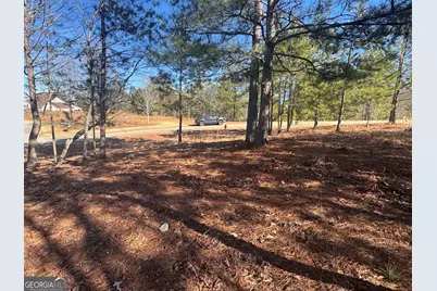 1541 Currahee Club Drive, Toccoa, GA 30577 - Photo 4