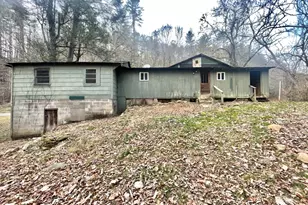 4747 Hwy 76 W, Clayton, GA 30525 - Photo 2