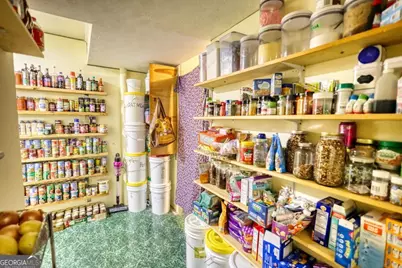 1895 Alton Green Drive NE, Monroe, GA 30656 - Photo 22