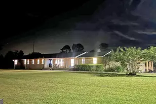 963 Springhill Church Rd, Alamo, GA 30411 - Photo 2