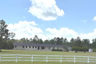 963 Springhill Church Rd, Alamo, GA 30411 - Photo 4