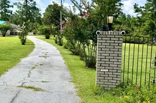 963 Springhill Church Rd, Alamo, GA 30411 - Photo 66