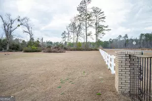 963 Springhill Church Rd, Alamo, GA 30411 - Photo 80