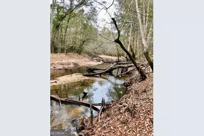 963 Springhill Church Road, Alamo, GA 30411 - Photo 78