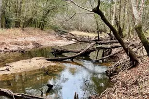 963 Springhill Church Rd, Alamo, GA 30411 - Photo 78