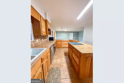 963 Springhill Church Road, Alamo, GA 30411 - Photo 14