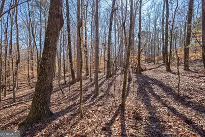 0 Faust Farm Road, Crawford, GA 30630 - Photo 28