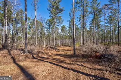 0 Faust Farm Road, Crawford, GA 30630 - Photo 14