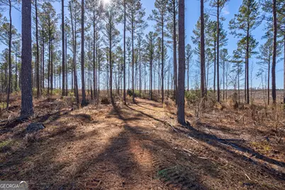 0 Faust Farm Road, Crawford, GA 30630 - Photo 12