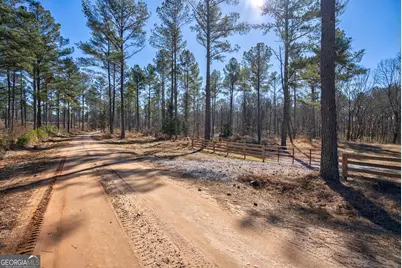 0 Faust Farm Road, Crawford, GA 30630 - Photo 4