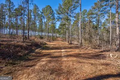 0 Faust Farm Road, Crawford, GA 30630 - Photo 38