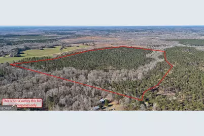 0 Faust Farm Road, Crawford, GA 30630 - Photo 2
