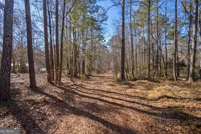0 Faust Farm Road, Crawford, GA 30630 - Photo 22