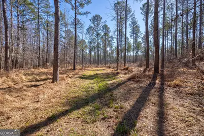 0 Faust Farm Road, Crawford, GA 30630 - Photo 26