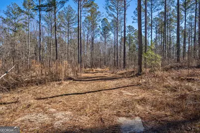 0 Faust Farm Road, Crawford, GA 30630 - Photo 16