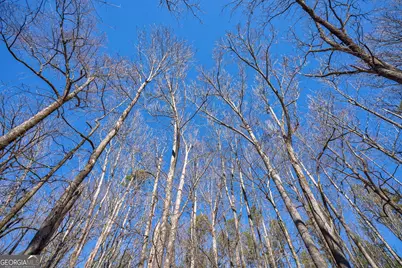 0 Faust Farm Road, Crawford, GA 30630 - Photo 32