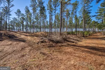 0 Faust Farm Road, Crawford, GA 30630 - Photo 6