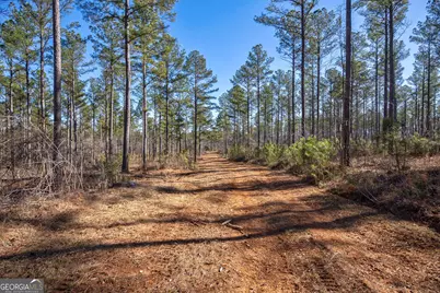 0 Faust Farm Road, Crawford, GA 30630 - Photo 10