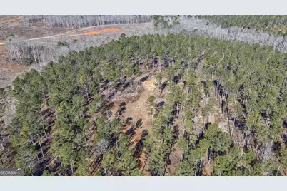 0 Faust Farm Road, Crawford, GA 30630 - Photo 46