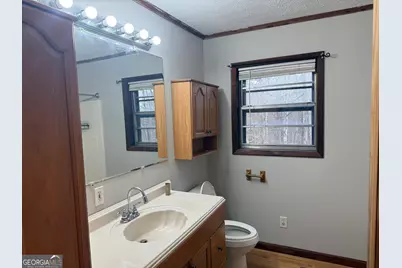 2906 Douthit Road, Mineral Bluff, GA 30559 - Photo 48