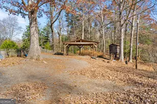 2906 Douthit Rd, Mineral Bluff, GA 30559 - Photo 42