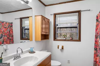 2906 Douthit Road, Mineral Bluff, GA 30559 - Photo 20