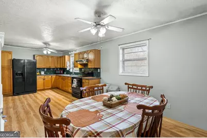 2906 Douthit Road, Mineral Bluff, GA 30559 - Photo 22