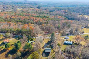 2906 Douthit Rd, Mineral Bluff, GA 30559 - Photo 2