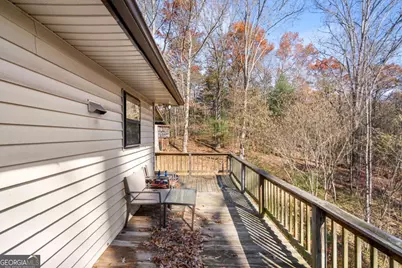 2906 Douthit Road, Mineral Bluff, GA 30559 - Photo 20