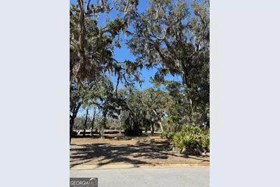 0 Maiden Creek Drive LOT #60, Waverly, GA 31565 - Photo 2