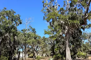 0 Maiden Creek Dr, Waverly, GA 31565 - Photo 1