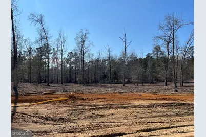 0 Holly Ridge Road, Dublin, GA 31021 - Photo 2