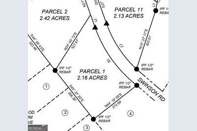 0 Holly Ridge Road, Dublin, GA 31021 - Photo 6