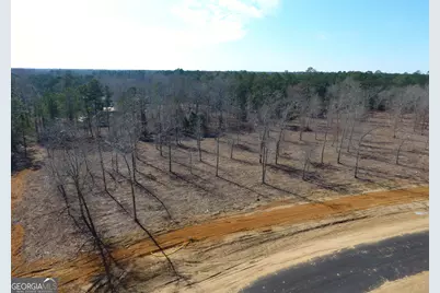 0 Holly Ridge Road, Dublin, GA 31021 - Photo 1