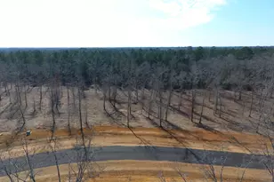 0 Holly Ridge Lot 3, Dublin, GA 31021 - Photo 1