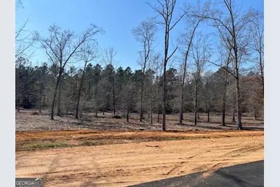 0 Holly Ridge Lot 3, Dublin, GA 31021 - Photo 2