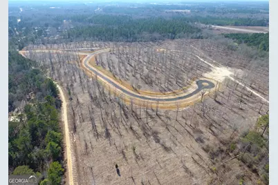 0 Holly Ridge Lot 3, Dublin, GA 31021 - Photo 4