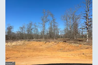 0 Holly Ridge Lot 5, Dublin, GA 31021 - Photo 2