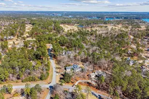 1020 Liberty Bluff Ln, Greensboro, GA 30642 - Photo 62