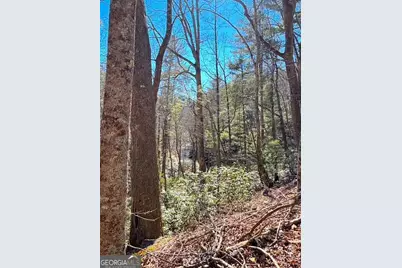 00 Horse Cove Court, Jasper, GA 30143 - Photo 6