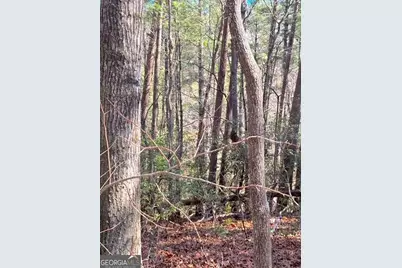 00 Horse Cove Court, Jasper, GA 30143 - Photo 10