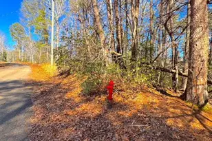 00 Horse Cove Ct, Jasper, GA 30143 - Photo 1