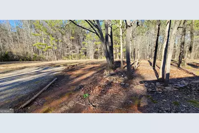 19145 Ga Highway 100, Franklin, GA 30217 - Photo 16